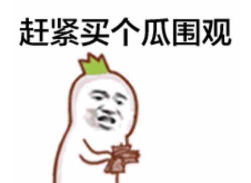 网红吃瓜微信表情包下载,趣味横生的网络潮流