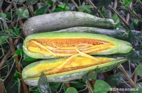 吃网红瓜网站推荐