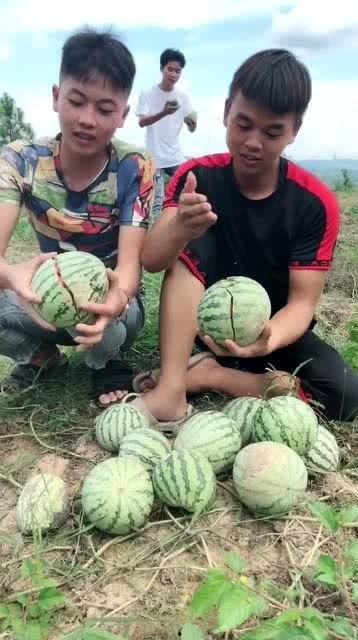 农村女人吃网红瓜