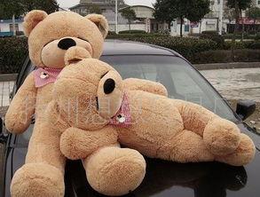 网红熊公仔吃瓜图片,萌态十足引网友热议