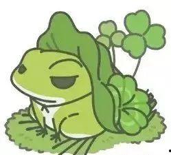 两个网红青蛙吃瓜的样子,萌态百出，笑料连连