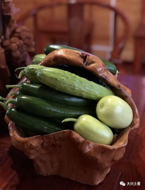 吃瓜最新事件网红久久