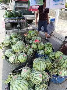 徐州吃瓜网红事件,网络舆论的风暴与反思