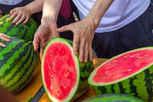 网红大学请暑期吃瓜,一场别开生面的“吃瓜”狂欢