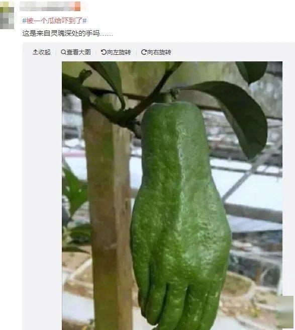 西北民族吃瓜网,吃瓜网带你领略风味盛宴