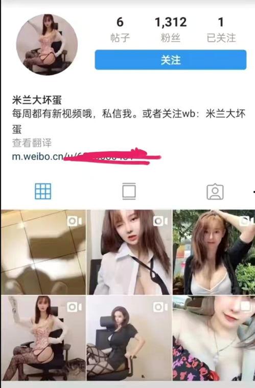 微信网红吃瓜事件视频,揭秘网络舆论背后的真相