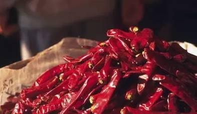 网红吃瓜视频干仗