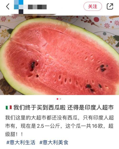 吃瓜网国外,国外视角下的中国网络文化现象